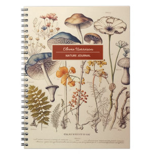 Cuaderno Nombre y asunto de la naturaleza de los hongos de