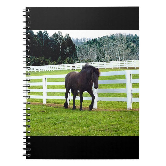 Cuaderno Nonesuch en Cedar Point (Frente)