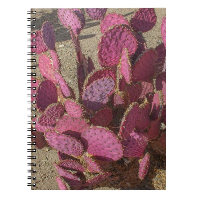 Cuaderno Nopal (Frente)