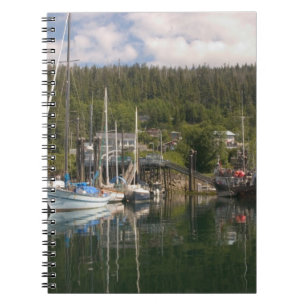 Cuaderno Norteamérica, Canadá, Islas de la Reina Carlota, 4