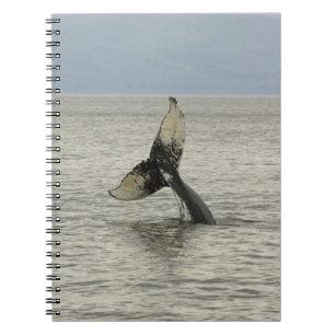 Cuaderno Norteamérica, EE. UU., AK, Paso Interior. Jorobada
