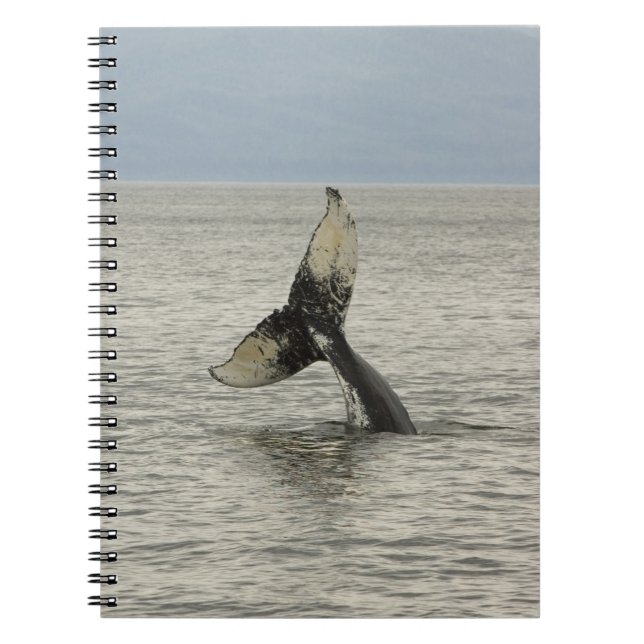 Cuaderno Norteamérica, EE. UU., AK, Paso Interior. Jorobada (Frente)