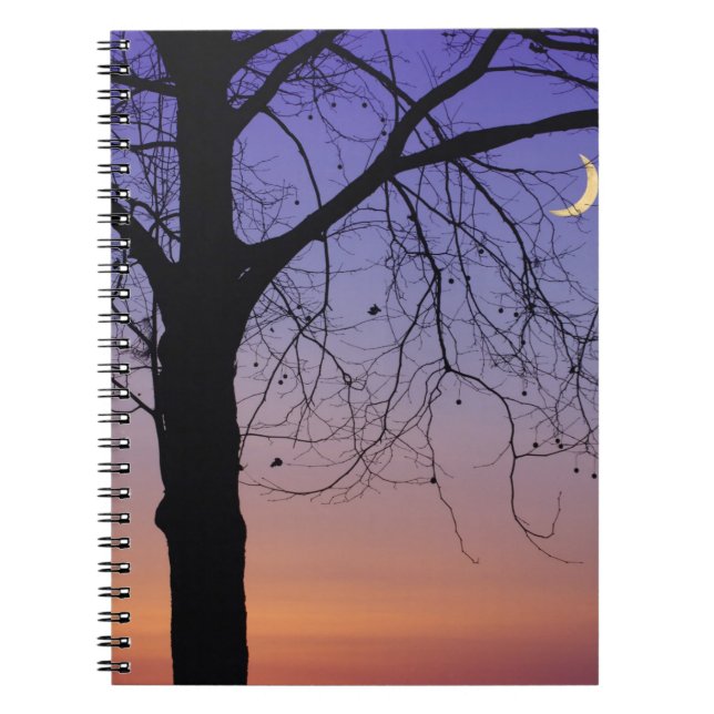 Cuaderno Norteamérica, EE. UU., Florida, Mt. Dora, la (Frente)