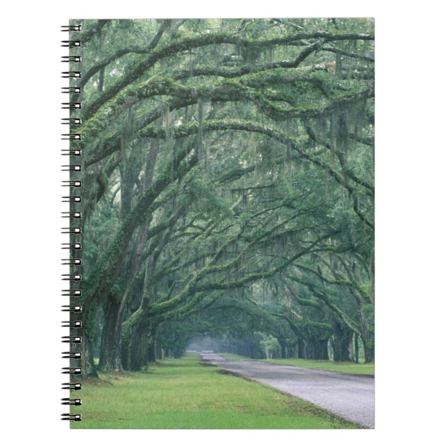 Cuaderno Norteamérica, EE. UU., Georgia, Savannah, (Frente)