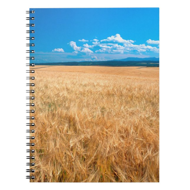Cuaderno Norteamérica, EE. UU., Idaho. Campo de cebada en (Frente)