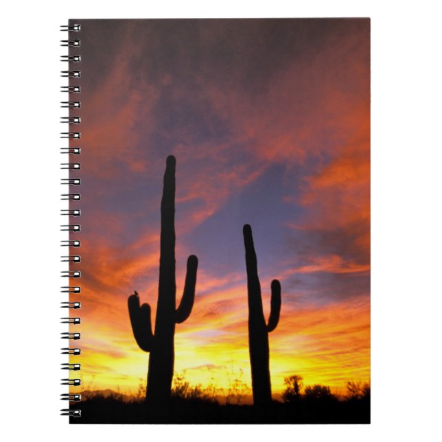 Cuaderno Norteamérica, Estados Unidos, Arizona, desierto de (Frente)
