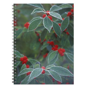 Cuaderno Norteamérica, Estados Unidos, Nueva Inglaterra. Ac