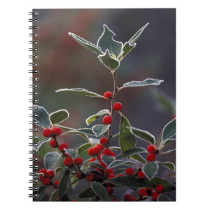 Cuaderno Norteamérica, Estados Unidos, Nueva Inglaterra. Ac