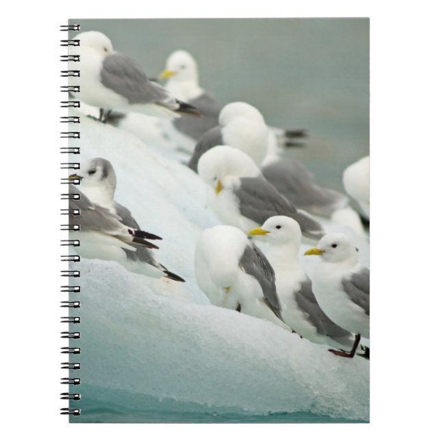 Cuaderno Noruega, archipiélago de Svalbard, Spitsbergen (Frente)