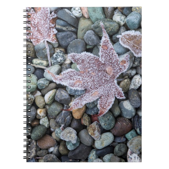 Cuaderno Nosotros, Wa, Isla Bainbridge. Escarcha Temprana e (Frente)