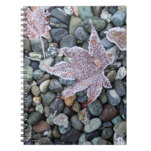 Cuaderno Nosotros, Wa, Isla Bainbridge. Temprano por la ma