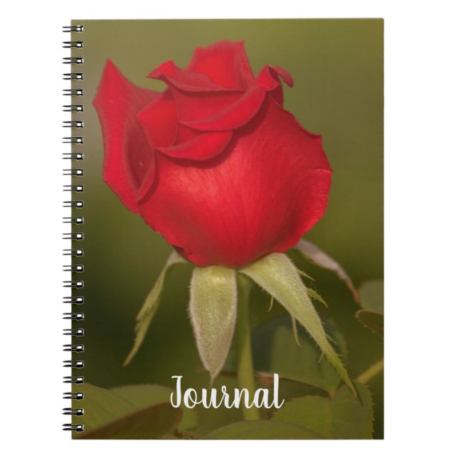 Cuaderno Nostálgico bloc de notas de Red Rose Journal (Frente)
