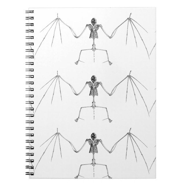 Cuaderno Nota de muerte (Frente)