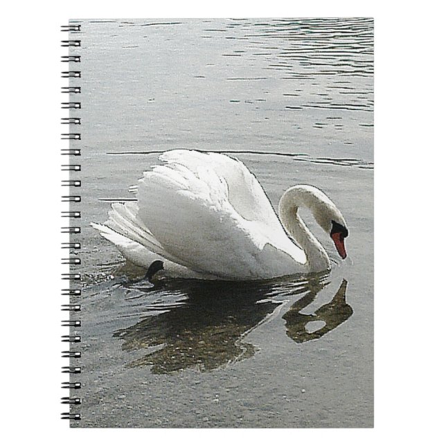 Cuaderno Nota libro cisne blanco, reflejando en el agua gri (Frente)