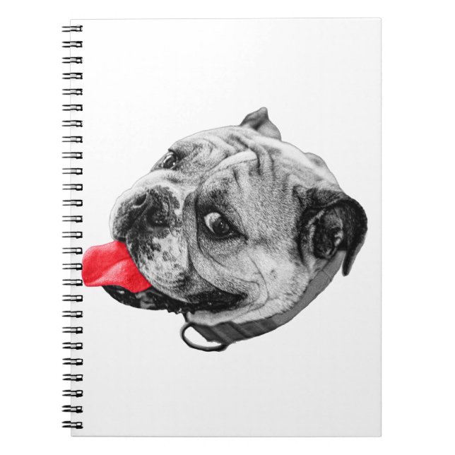 Cuaderno Notas con Acento Alegre (Frente)