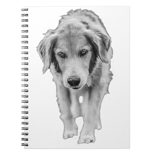 Cuaderno Notas con un caminante valiente (Frente)