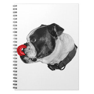 Cuaderno Notas de acento rojo Bulldog