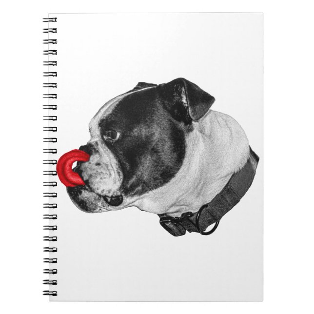 Cuaderno Notas de acento rojo Bulldog (Frente)