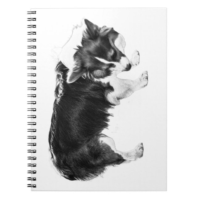 Cuaderno Notas de campo: Nariz de otoño (Frente)