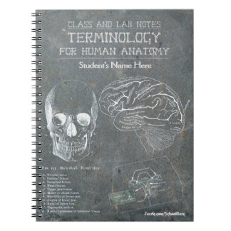 Cuaderno Notas de clase y de laboratorio - Terminología (pe