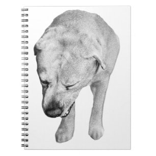 Cuaderno Notas de invierno con Muse de laboratorio sombread