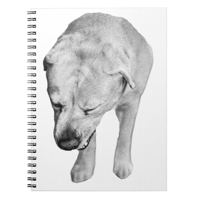 Cuaderno Notas de invierno con Muse de laboratorio sombread (Frente)