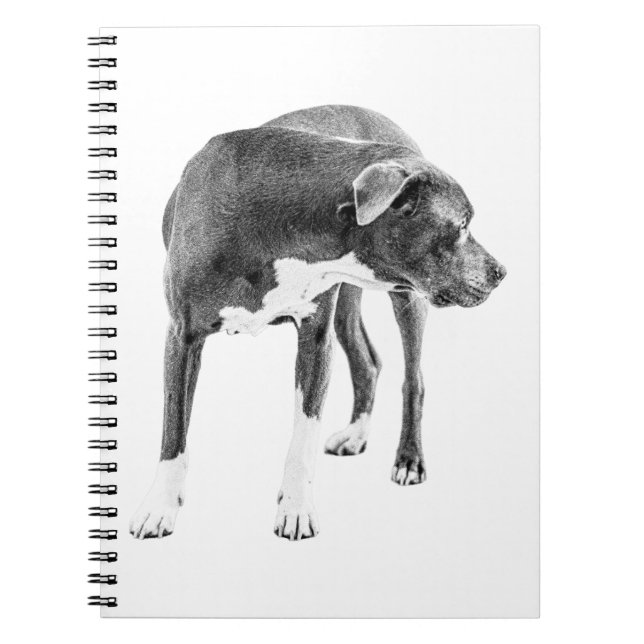 Cuaderno Notas de la búsqueda (Frente)