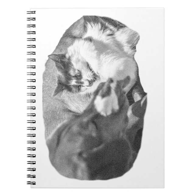 Cuaderno Notas de la compañía (Frente)
