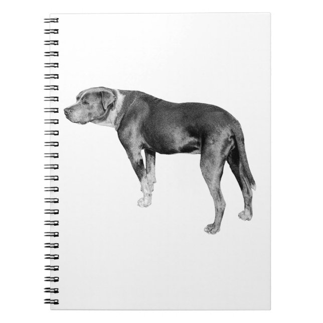 Cuaderno Notas de la pista, Steady Heart (Frente)