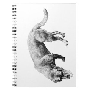 Cuaderno Notas de la pista susurrada