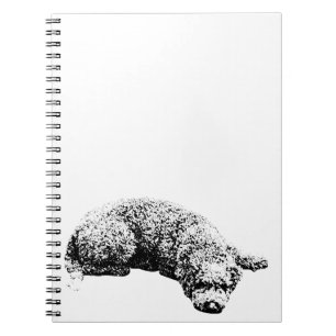 Cuaderno Notas de la ventana