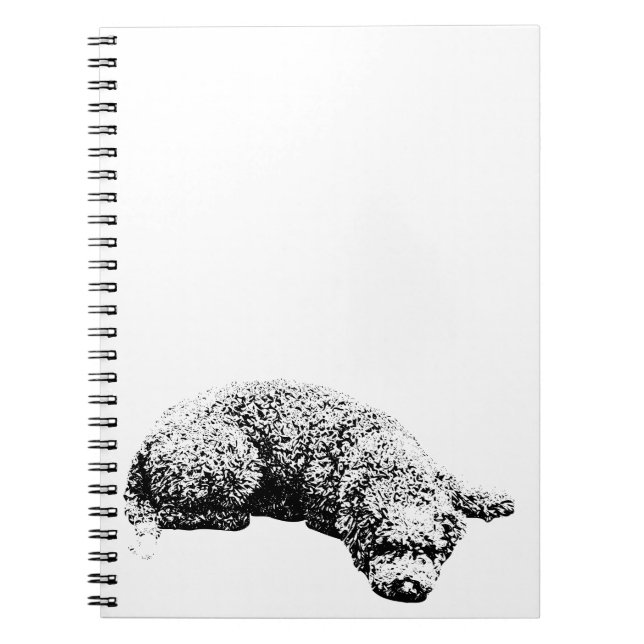 Cuaderno Notas de la ventana (Frente)