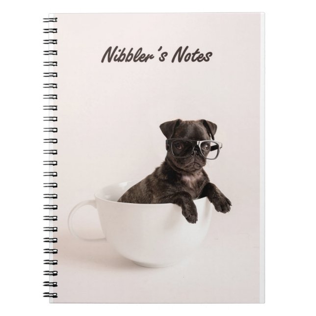 Cuaderno Notas de Nibbler (Frente)