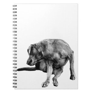 Cuaderno Notas de otoño con un grupo de reproducción