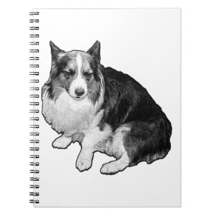 Cuaderno Notas De Punto De La Luz De Moneda
