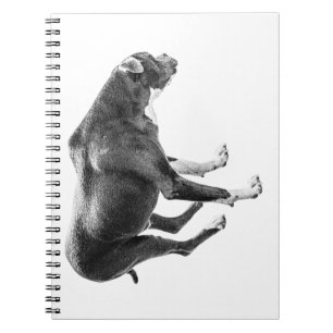 Cuaderno Notas de reloj de otoño