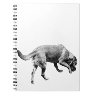 Cuaderno Notas de Trails & Tails