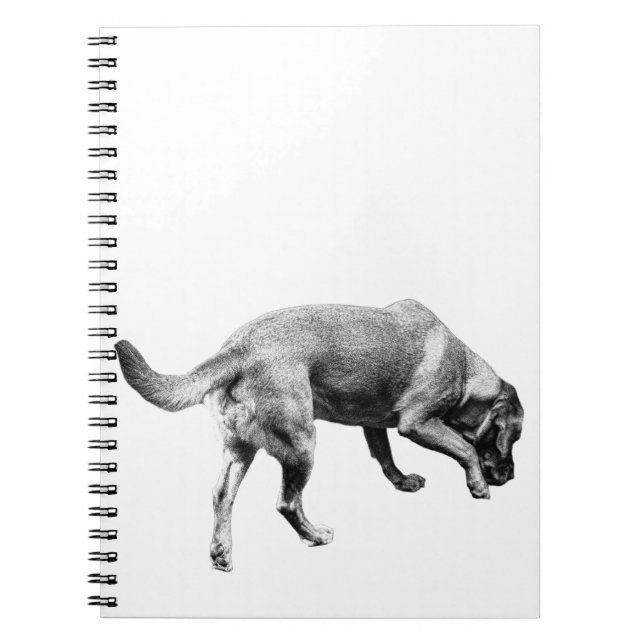 Cuaderno Notas de Trails & Tails (Frente)