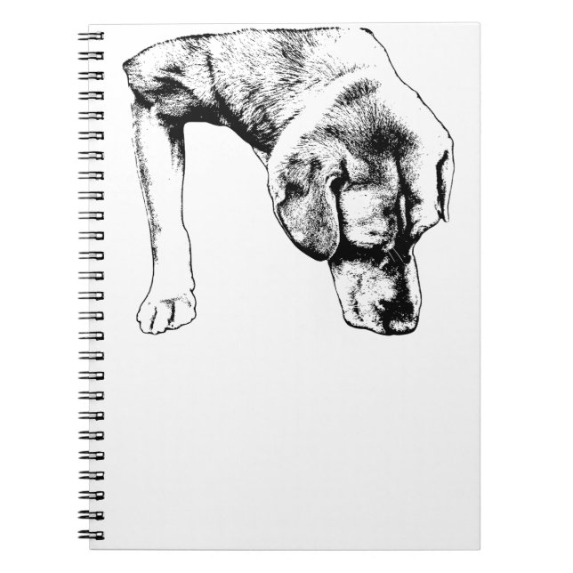 Cuaderno Notas de una caminata tranquila (Frente)