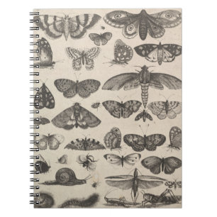 Cuaderno Notas del campo de los lepidópteros de la