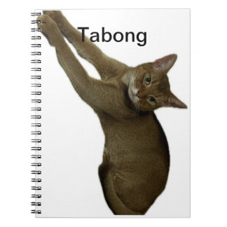Cuaderno Notas del gato