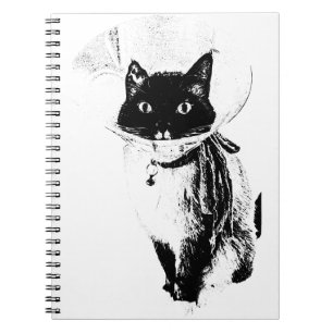Cuaderno Notas desde el cono