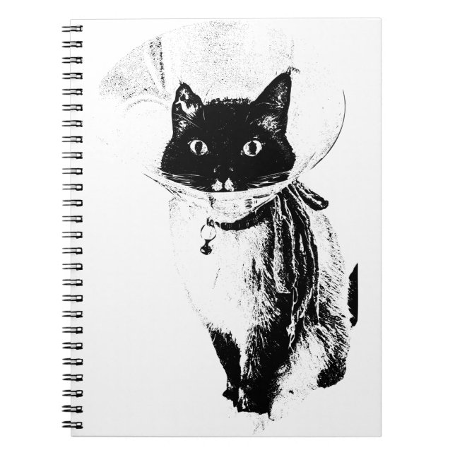 Cuaderno Notas desde el cono (Frente)