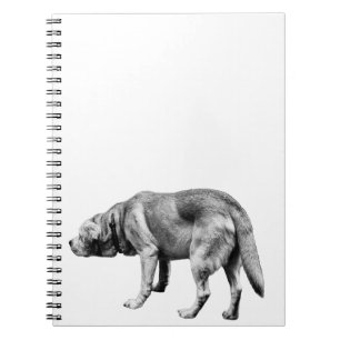 Cuaderno Notas desde una patrulla fiel