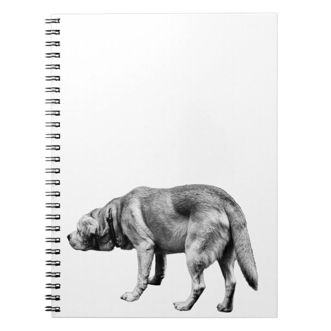 Cuaderno Notas desde una patrulla fiel (Frente)