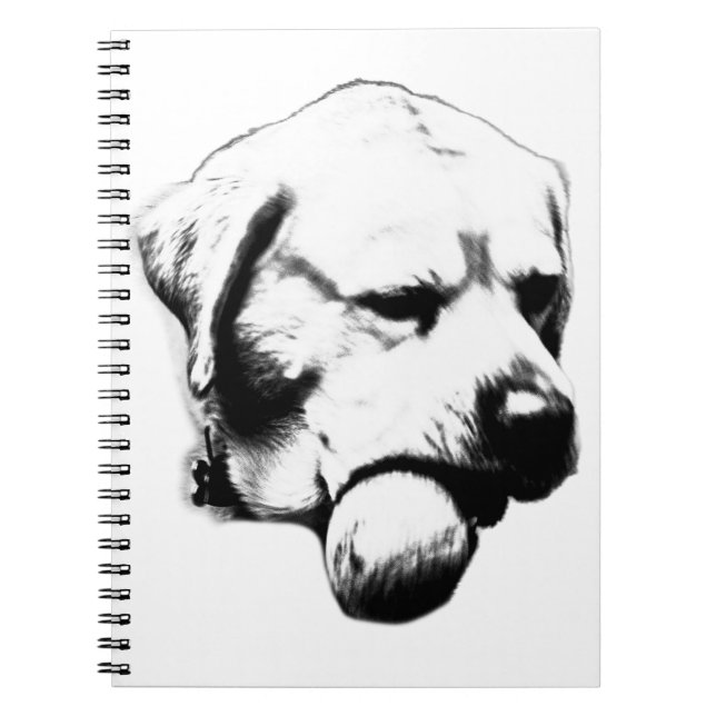 Cuaderno Notas entre filas (Frente)