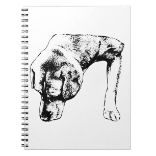 Cuaderno Notas para las caminatas silenciosas