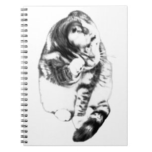 Cuaderno Notas suaves junto a un gato