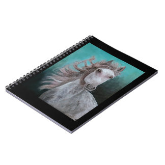 Cuaderno Notebook