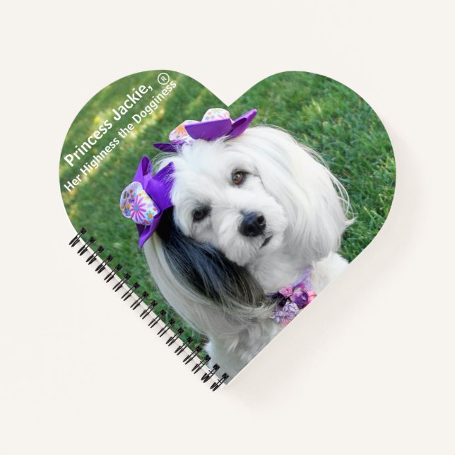 Cuaderno Notebook (Anverso)